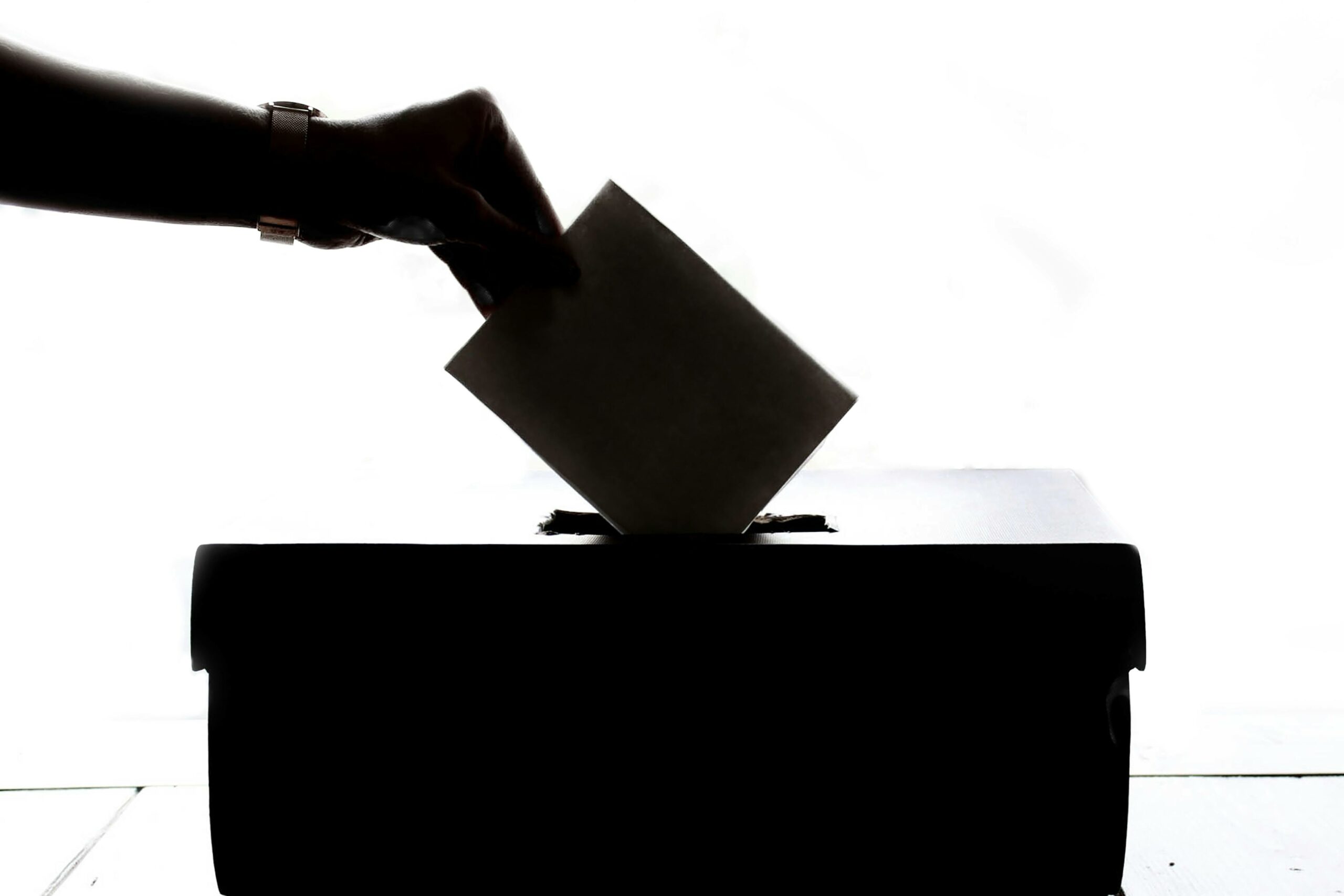 Elezioni a Sesto San Giovanni, a giugno le elezioni Europee 2024