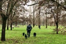 Sesto San Giovanni, accordo con il Comune di Milano per l’utilizzo dei cani antidroga della Polizia locale