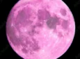 Questa notte arriva la Luna Rosa, simbolo di rinascita