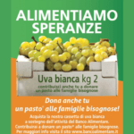 Banco Alimentare e Il Gigante: Oltre un Milione di Pasti Donati nel 2023
