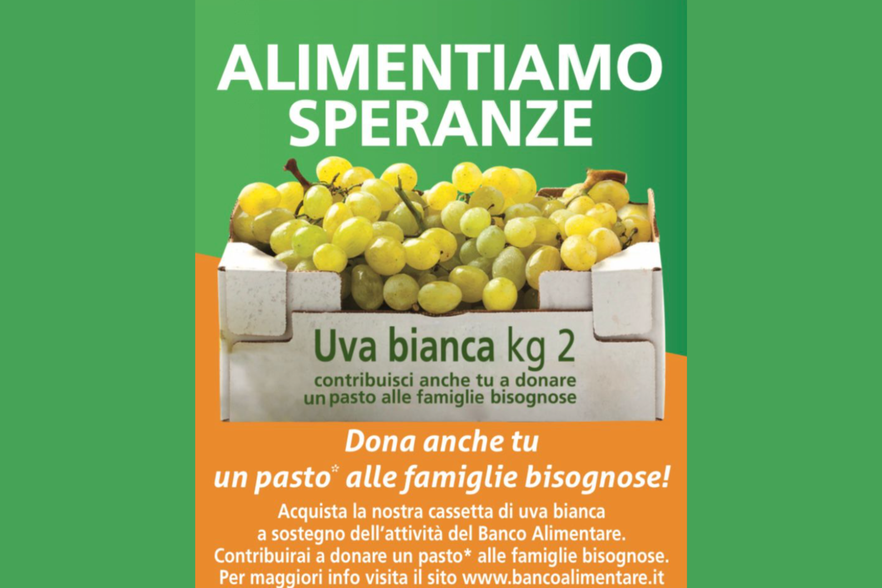 Banco Alimentare e Il Gigante: Oltre un Milione di Pasti Donati nel 2023