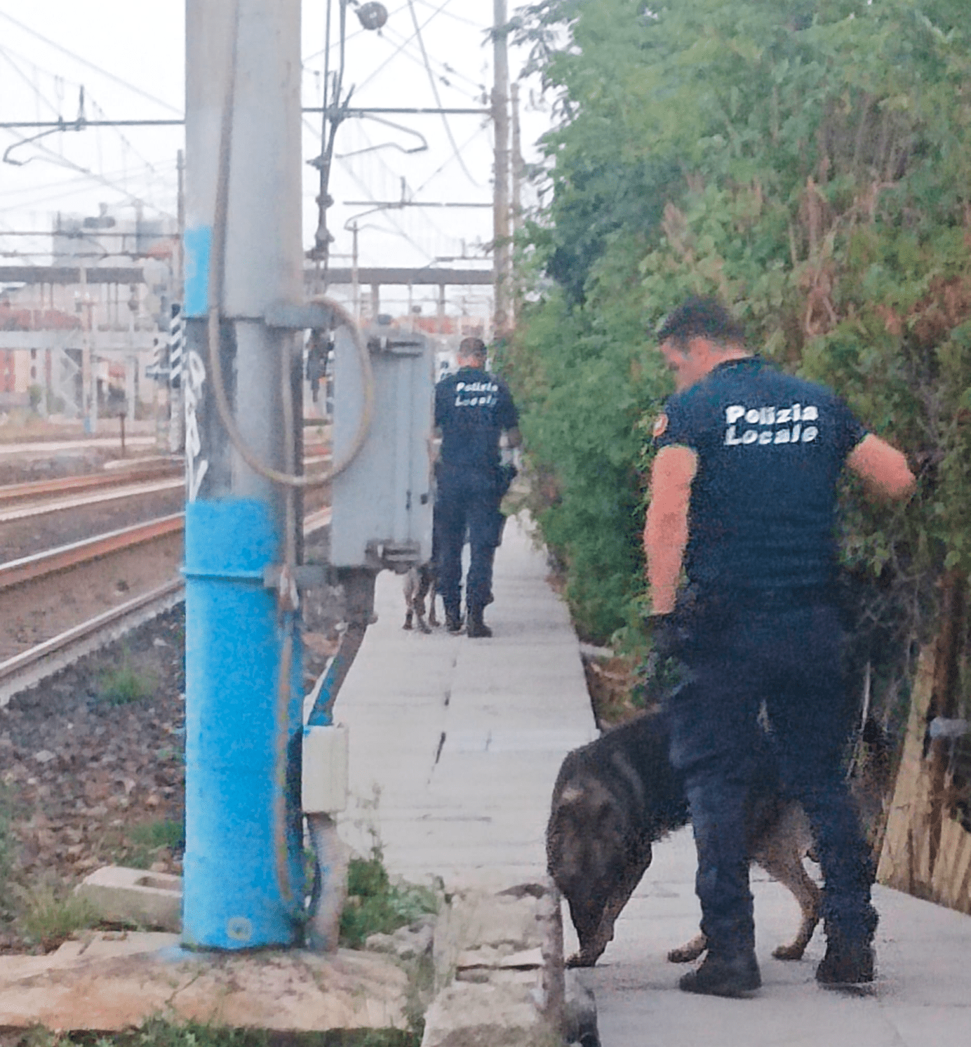Sesto San Giovanni, sequestrati 300 grammi di hashish