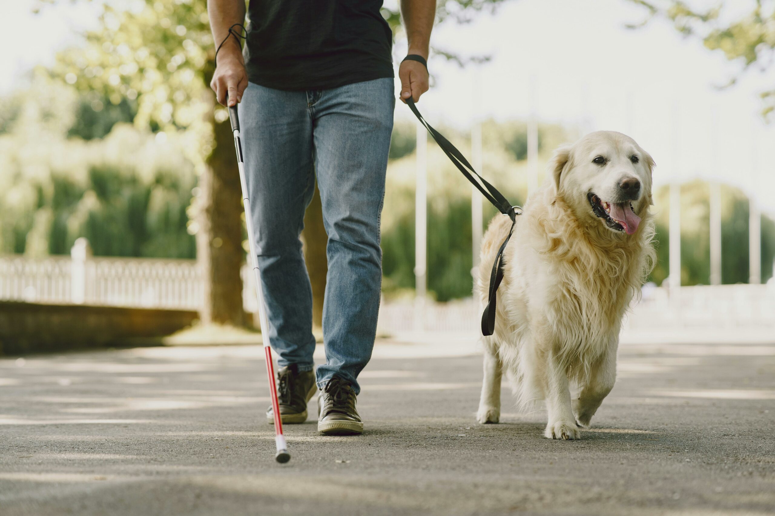 Regione Lombardia, 350.000 euro per il supporto a persone non vedenti e studenti con disabilità visive