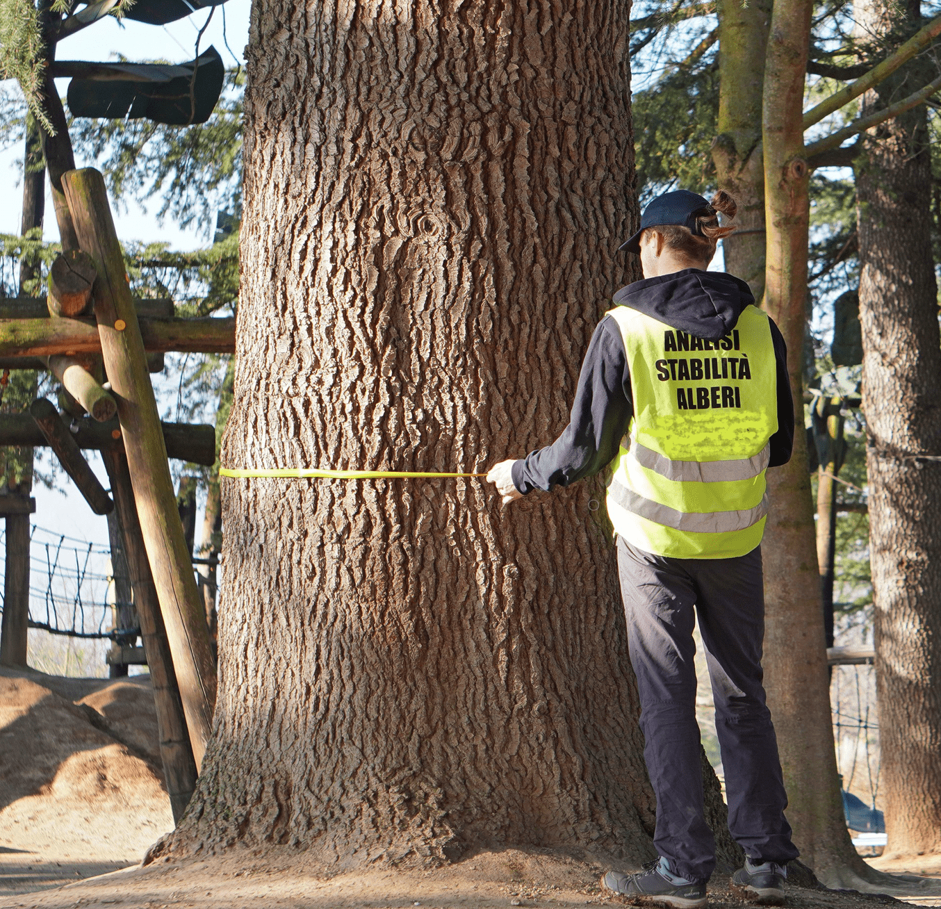 Cinisello Balsamo, 16mila alberi sotto controllo per verificarne la sicurezza