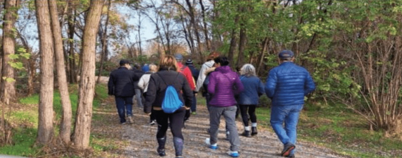 Sesto San Giovanni, una giornata nel verde per la festa dell'albero