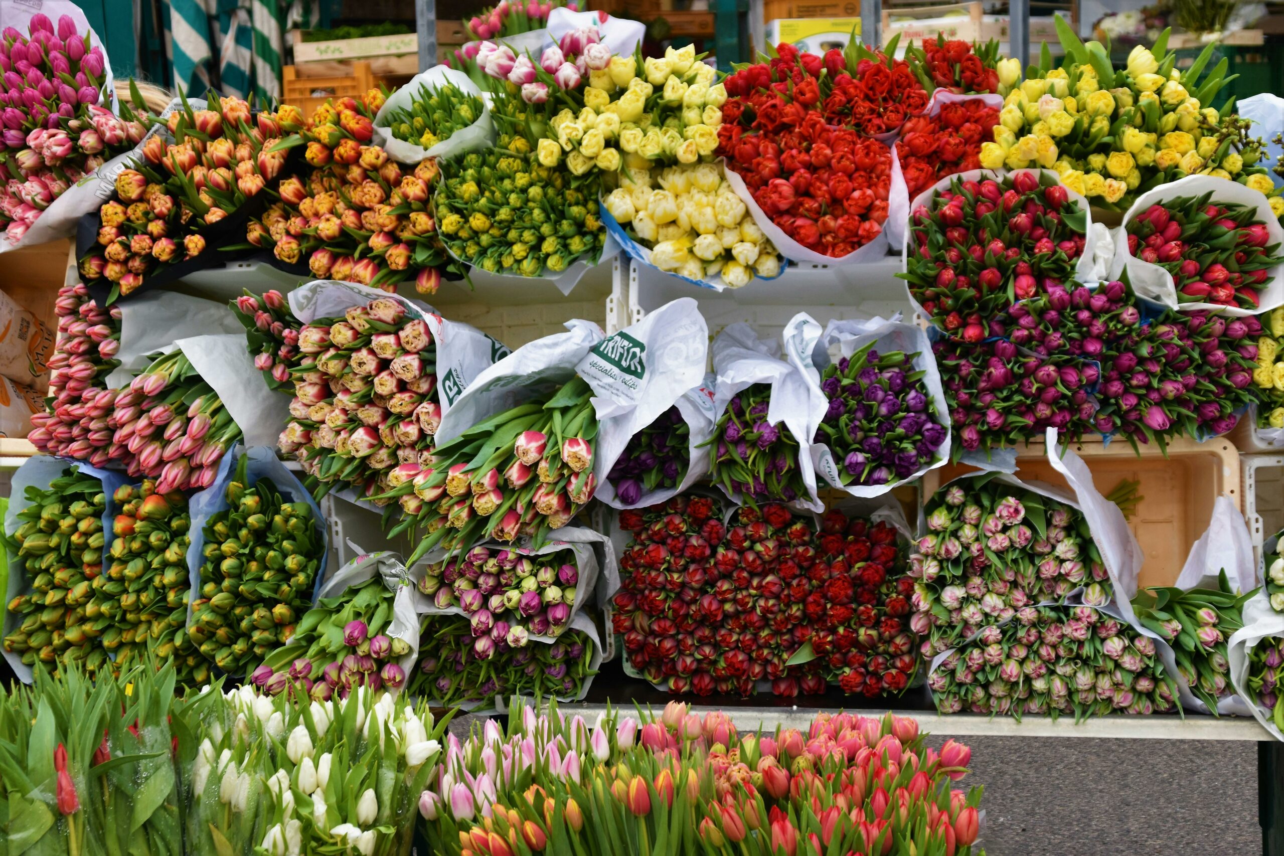 Ognissanti: aumento delle vendite per fiori, dolci e decorazioni