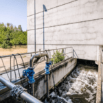 Parco Nord, al via un progetto per il riuso dell'acqua depurata
