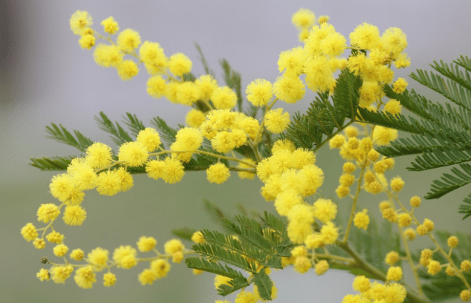 Festa della donna: #IeriOggiFutura, tre eventi a Sesto San Giovanni