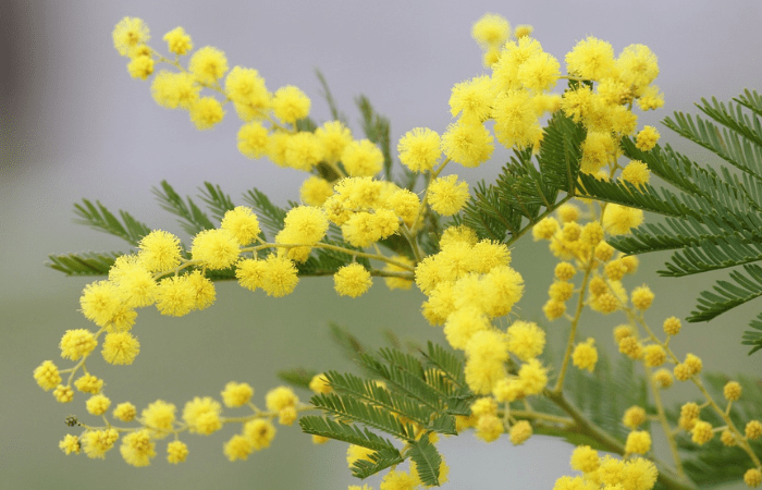 Festa della donna: #IeriOggiFutura, tre eventi a Sesto San Giovanni