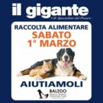 Animali domestici, al via la raccolta di prodotti nei supermercati 'Il Gigante'