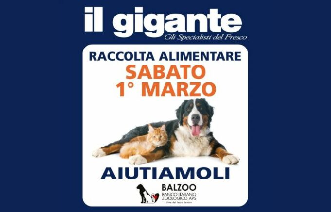 Animali domestici, al via la raccolta di prodotti nei supermercati 'Il Gigante'
