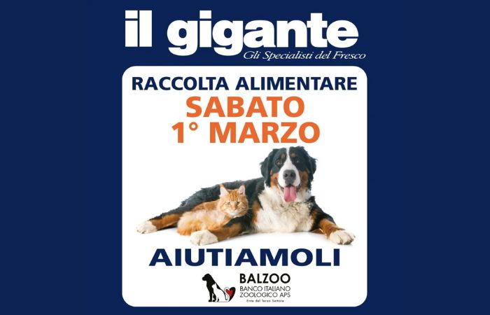 Animali domestici, al via la raccolta di prodotti nei supermercati 'Il Gigante'