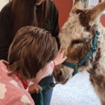 Ospedale Sesto San Giovanni: pony e moto in corsia per il sorriso dei più piccoli