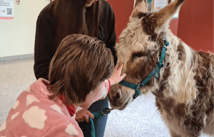 Ospedale Sesto San Giovanni: pony e moto in corsia per il sorriso dei più piccoli