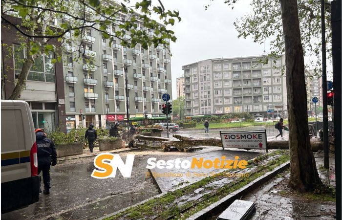 Sesto San Giovanni affronta il maltempo: interventi rapidi in tutta la città