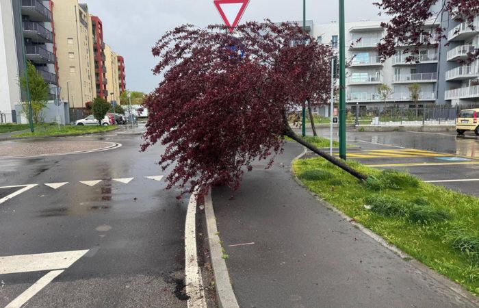 Sesto San Giovanni affronta il maltempo: interventi rapidi in tutta la città