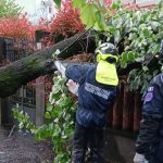 Sesto San Giovanni affronta il maltempo: interventi rapidi in tutta la città