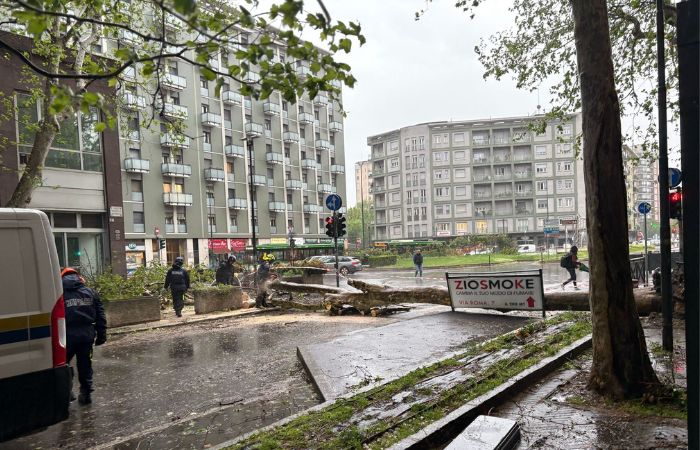 Viale Casiraghi riaperto al traffico: rimosso l’albero caduto in a Sesto Rondò