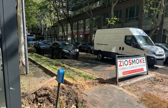 Viale Casiraghi riaperto al traffico: rimosso l’albero caduto in a Sesto Rondò