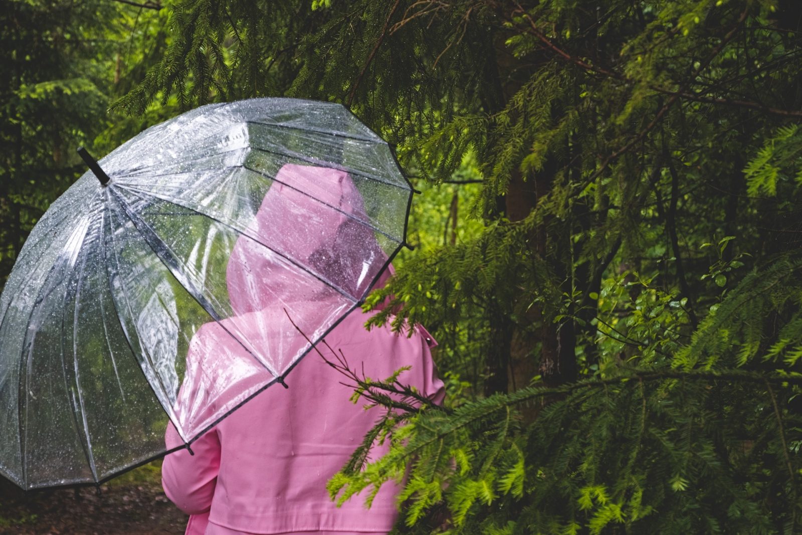 Meteo Sesto San Giovanni: allerta gialla per rischio idrico e idrogeologico