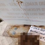 Sesto San Giovanni, escrementi sul monumento intitolato a Ramelli e Pedenovi