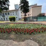 Sesto San Giovanni, Villa Mylius perde la storica serra: al suo posto una nuova aiuola