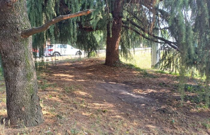 Sgomberata e ripulita l'area occupata sul Cavalcavia Buozzi a Sesto San Giovanni