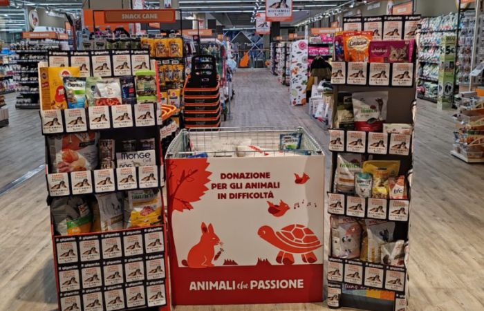 Il Gigante per solidarietà a quattro zampe: raccolta alimentare per animali in difficoltà