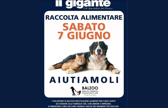 Il Gigante per solidarietà a quattro zampe: raccolta alimentare per animali in difficoltà
