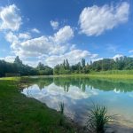 Parco Nord si arricchisce con un nuovo lago: inaugurazione il 5 giugno