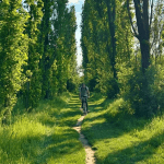 Parco Nord, pubblicata la nuova mappa del polmone verde del Nord Milano