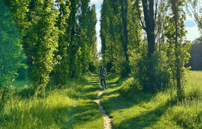Parco Nord, pubblicata la nuova mappa del polmone verde del Nord Milano