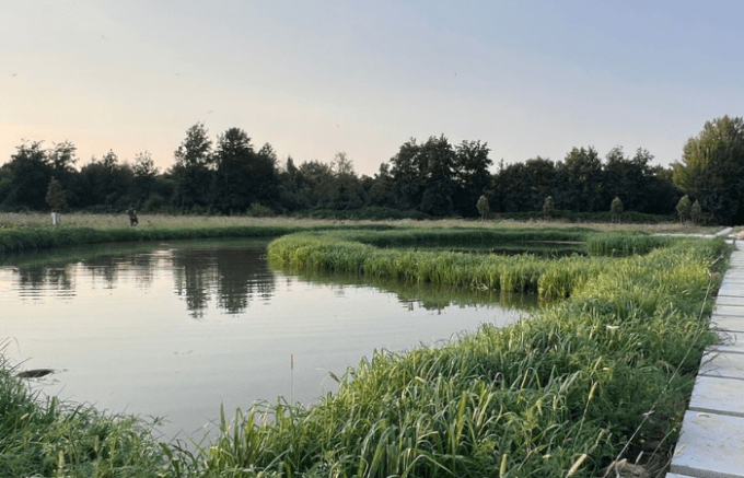 Parco Nord, un presidio sanitario naturale per combattere il caldo di agosto