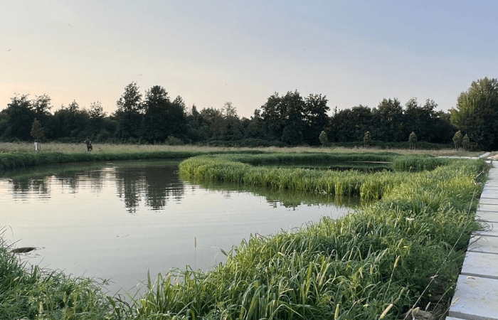 Parco Nord, un presidio sanitario naturale per combattere il caldo di agosto