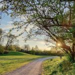 Parco Nord, ufficiale l’ampliamento: nuove aree agricole sotto tutela