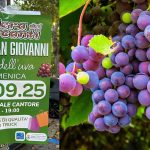 A Sesto San Giovanni arriva la Festa dell'Uva: come cambia il traffico in città