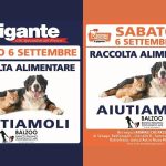 Al Gigante arriva la raccolta alimentare per aiutare gli animali in difficoltà