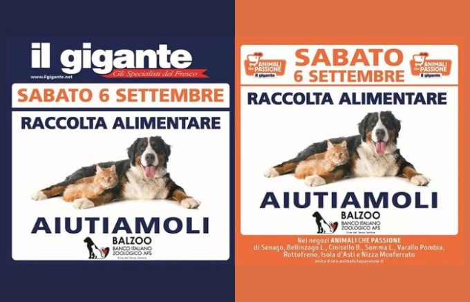 Al Gigante arriva la raccolta alimentare per aiutare gli animali in difficoltà