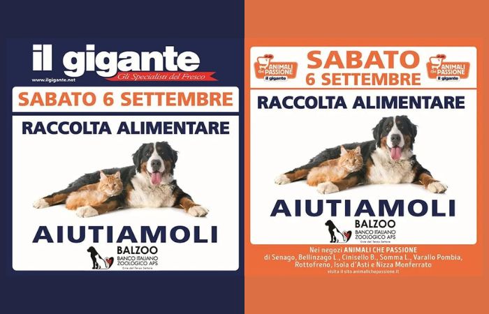 Al Gigante arriva la raccolta alimentare per aiutare gli animali in difficoltà