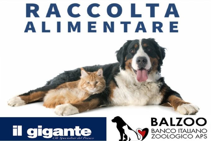 A Il Gigante la raccolta alimentare per cani e gatti in difficoltà