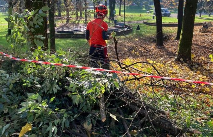 Sesto San Giovanni, potature e taglio erba: i lavori sul verde in città