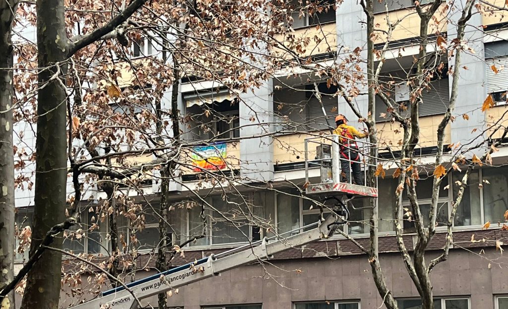 Sesto San Giovanni, le potature in città: tutti gli interventi