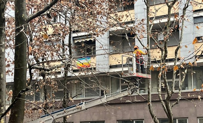 Sesto San Giovanni, le potature in città: tutti gli interventi