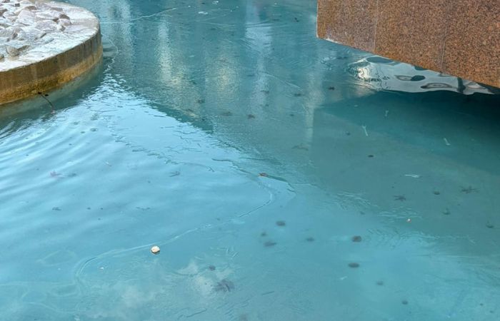 Sesto San Giovanni si risveglia nel gelo: piazza Oldrini e Largo Lamarmora ghiacciate