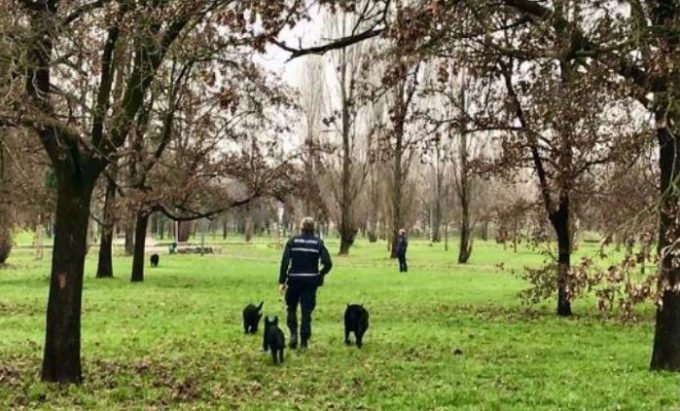 Sesto San Giovanni, collaborazione confermata anche nel 2026 con l’unità cinofila della Polizia locale di Milano