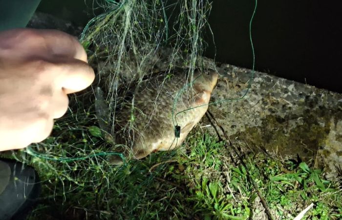 Parco Nord Milano, pesca illegale nei laghi dell’area protetta: rete rimossa e pesci liberati