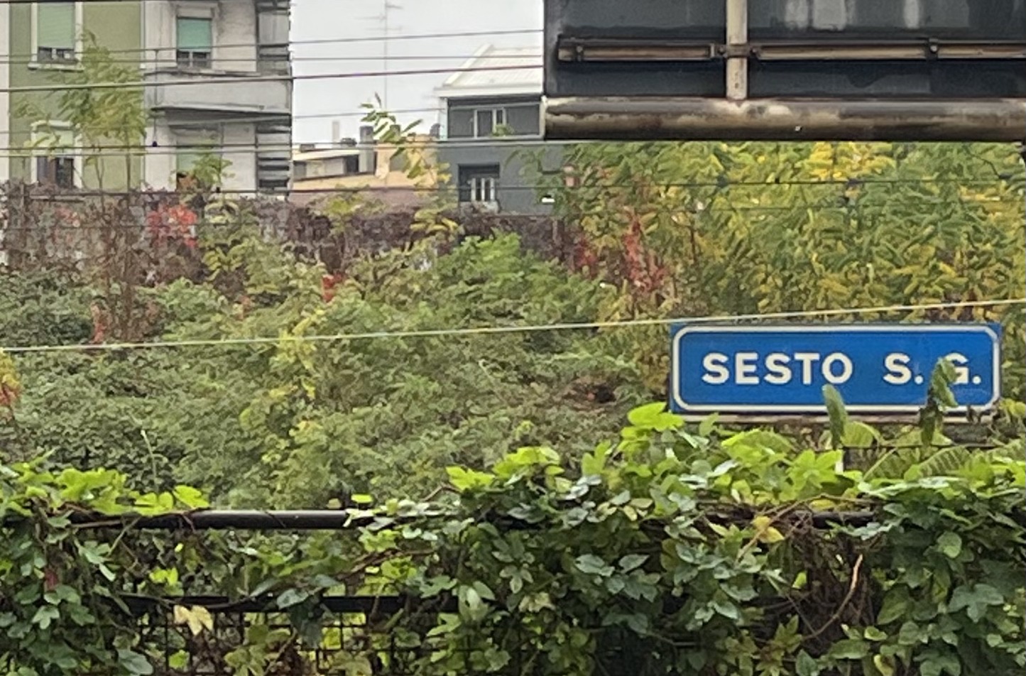 Sesto San Giovanni, l'ordinanza per tagliare i rami vicino ai binari