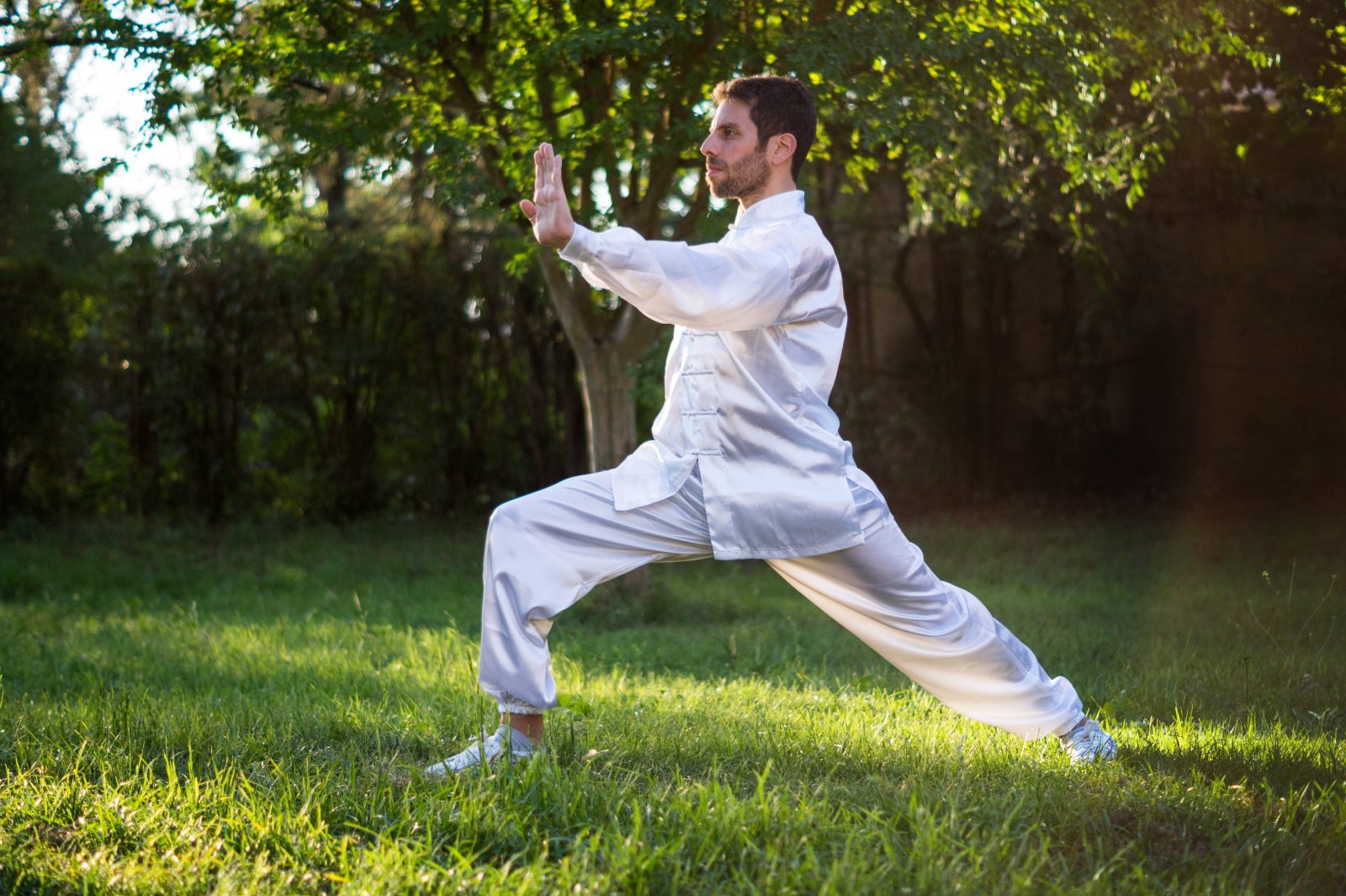 Al Parco Nord Milano lezioni gratuite di Tai Ji Quan
