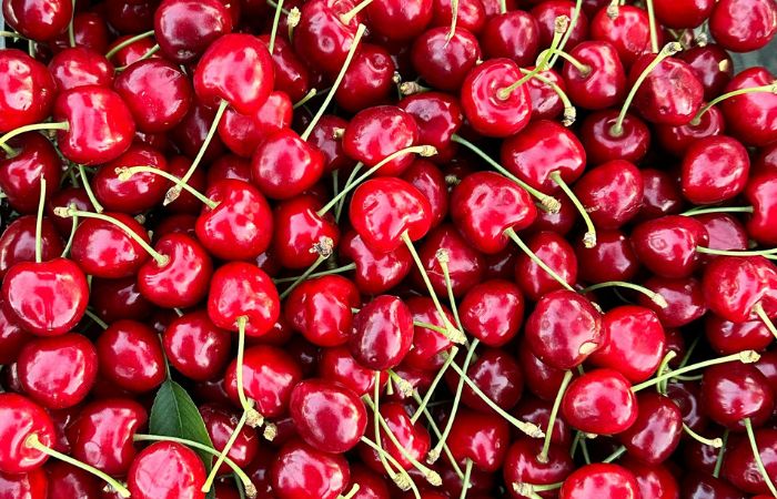 Parco Nord Milano, apre CiliegiaMi: la raccolta di ciliegie alla Balossa