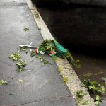 Sesto San Giovanni, vandalizzata corona deposta in memoria di Ramelli e Pedenovi